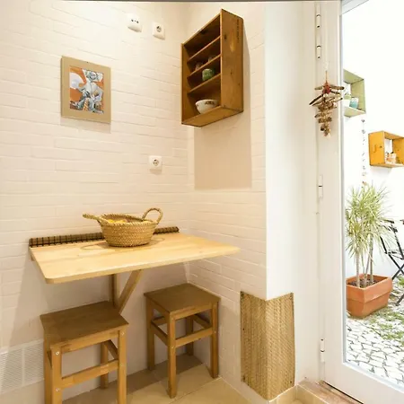 Charming Garden Duplex Historic Centre 公寓 *