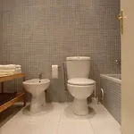 Charming Garden Duplex Historic Centre 公寓